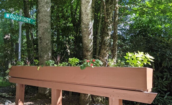 Building Photo - bamfo415