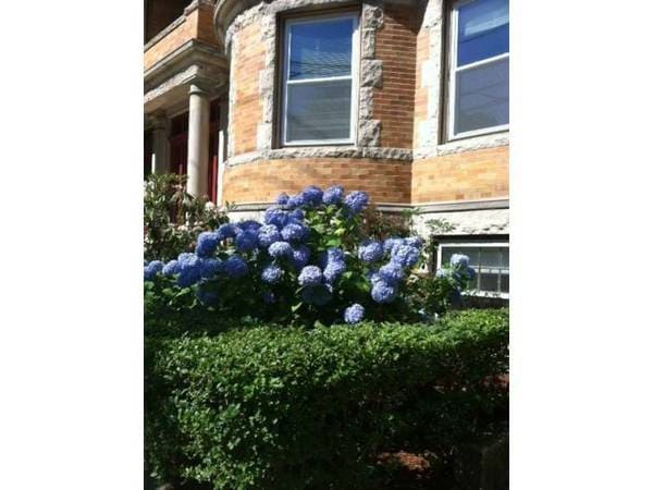 Building Photo - 102 Naples Rd