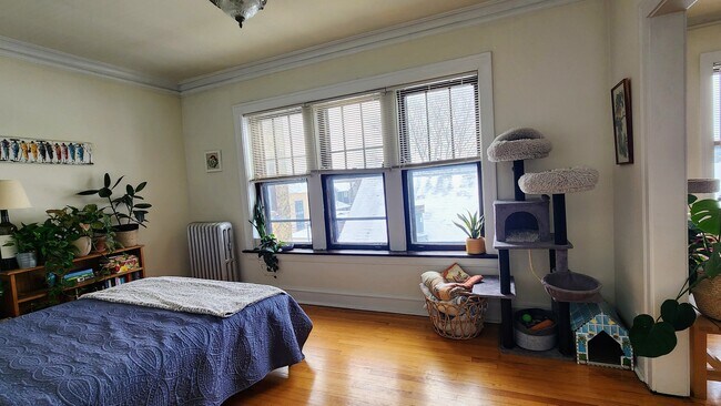 Foto del edificio - 1919 W Berteau Ave