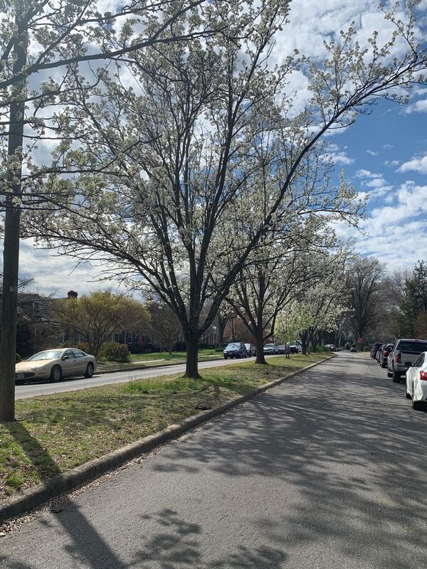 Foto del edificio - 1724 Wilmington Ave
