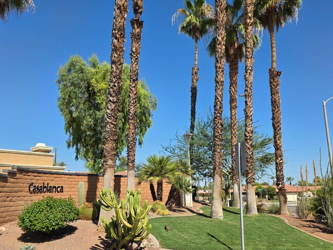 Building Photo - 41612 Aventine Ct