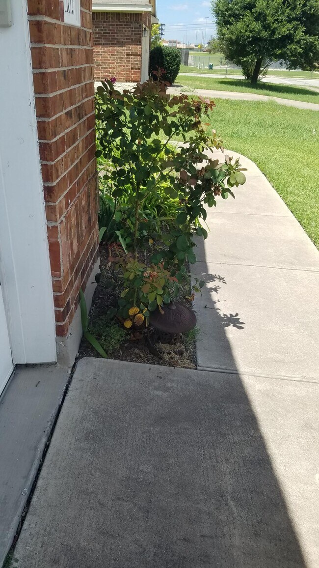 Front Sidewalk - 1102 Samson Dr