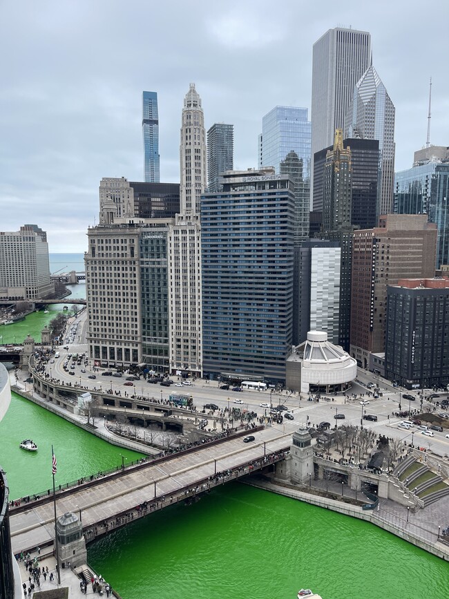 Stunning view from the balcony - 300 N State St