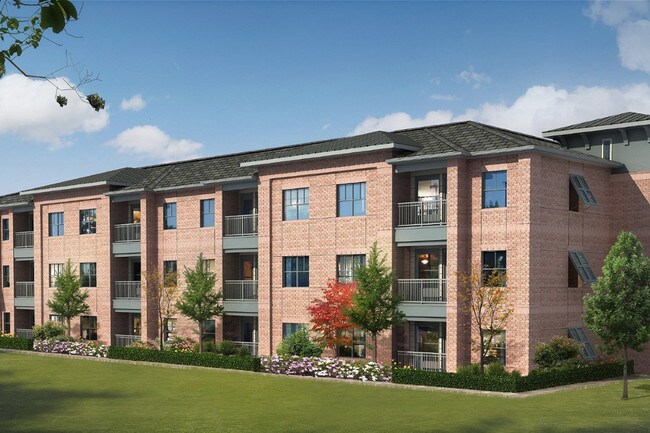 Amber Oaks Luxury Apartments