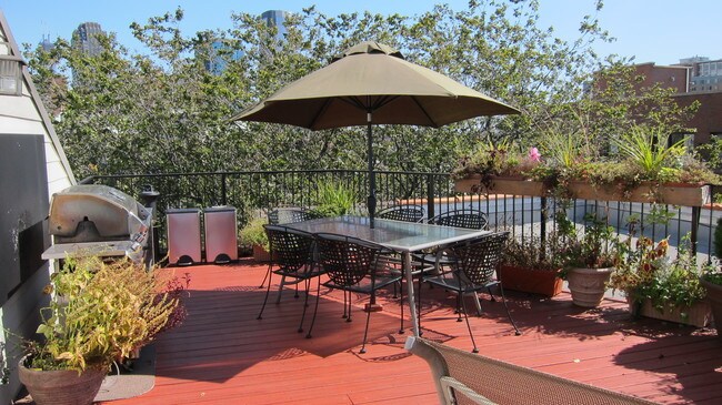 Terraza en la azotea con parrilla de gas - 47 Mercer St
