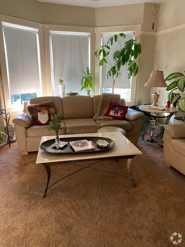 Pacific Heights Apartments for Rent San Francisco, CA 3 Rentals