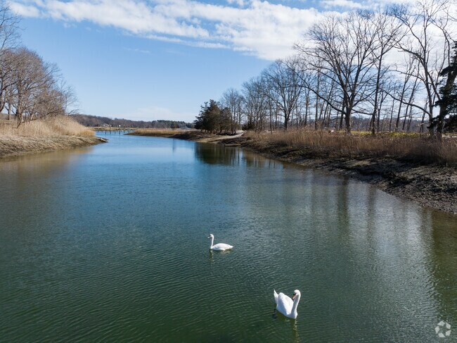 Geese can be seen in the water in the Kings Park neighborhood near NYC.