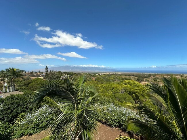 Building Photo - 55 Piimauna St