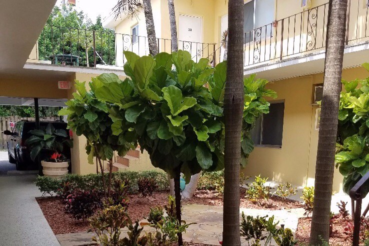 Building Photo - 2330 Coral Way