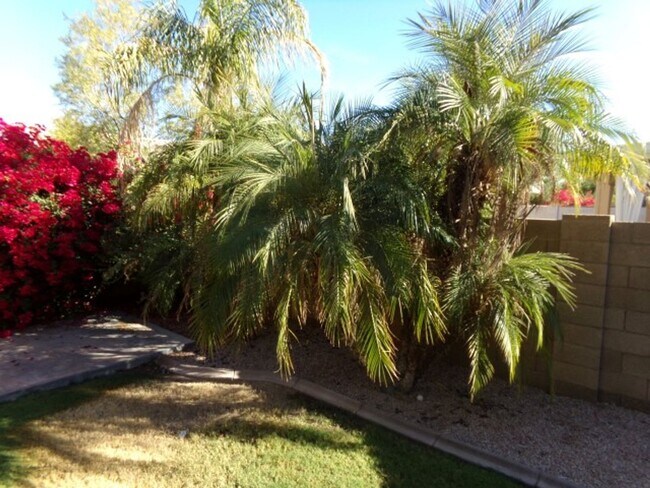 Building Photo - 378 W Bolero Dr