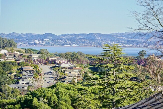 Building Photo - Charming 4 Bed, 2 Bath San Rafael Home wit...