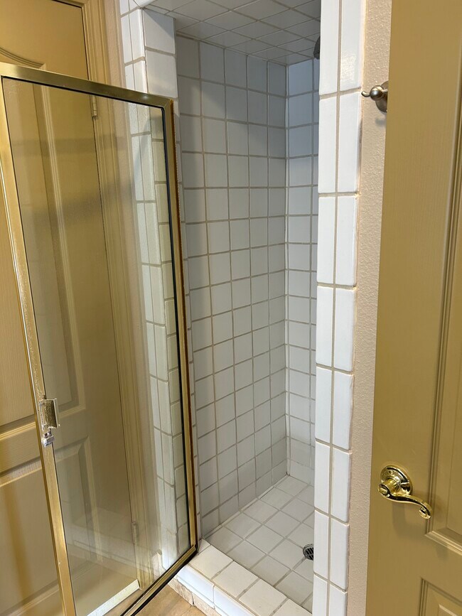 Ducha - 34545 Linda Rosea Rd
