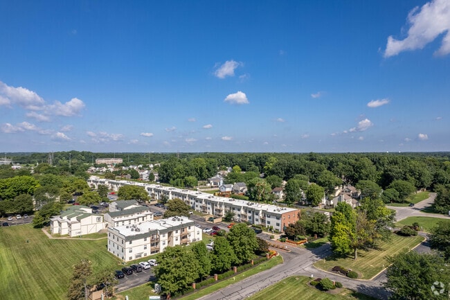 Aerial Photo - Elms