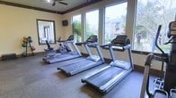 This fitness center is a dedicated, single-floor exercise space designed to support an active lifestyle. The room is furnished with multiple treadmills and an upright stationary bike, providing a solid range of cardiovascular equipment for users of varying fitness levels. Large, floor-to-ceiling windows line one wall, flooding the space with natural light and offering pleasant views of the surrounding outdoor greenery and neighboring buildings, creating an open and energizing atmosphere. The flooring is covered in durable, low-pile carpet suited for a gym environment. Dark wood trim accents the windows and crown molding, adding a refined touch to the room's overall aesthetic. A ceiling fan is centrally mounted overhead to promote air circulation and comfort during workouts. A wall-mounted flat-screen television is positioned for easy viewing from the cardio equipment, and a large mirror on the adjacent wall visually expands the space while allowing users to monitor their form. Decorative tropical plants add a subtle natural element to the interior. The overall ambiance is clean, bright, and welcoming, making it a functional and inviting space for daily fitness routines.