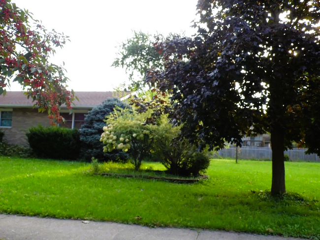 Foto del edificio - 320 Crestwood Dr