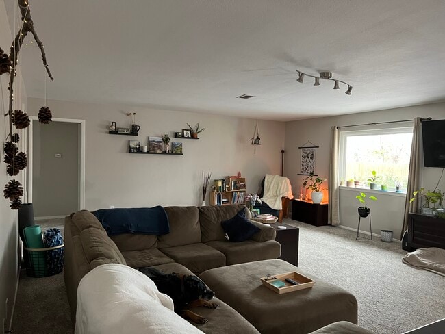 Living Room - 3920 Sanguinet St