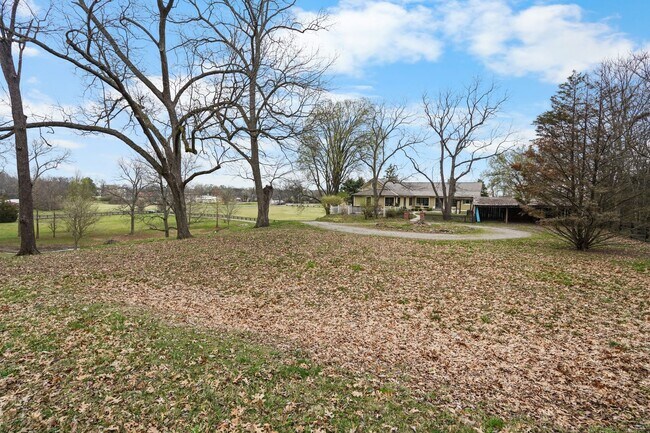 Foto del edificio - 251 Cheatham Springs Rd