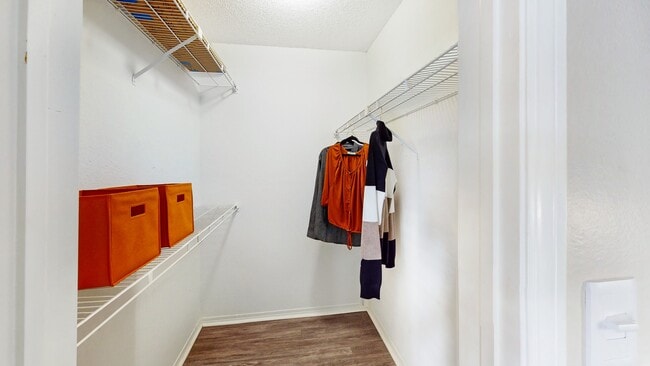 Newly Renovated Walk-In Closet - The Augusta Apartments