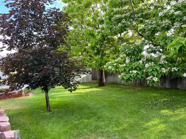 Matured landscape - 214 Eagle Ave
