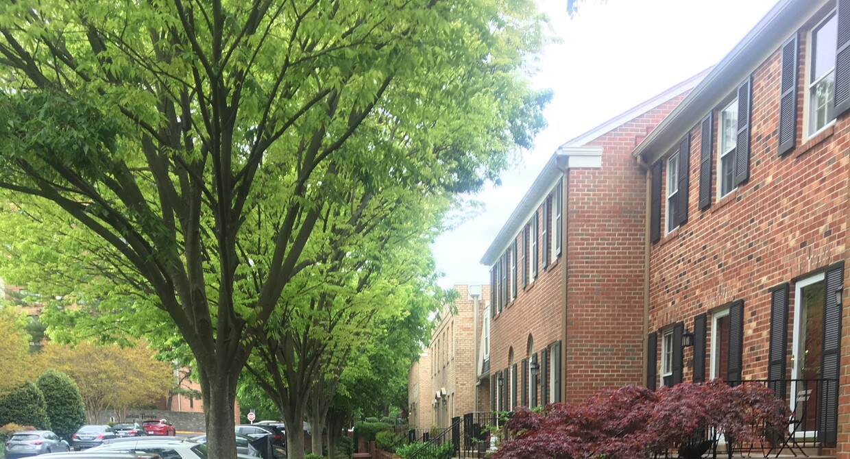 Primary Photo - 3203 Sutton Pl NW