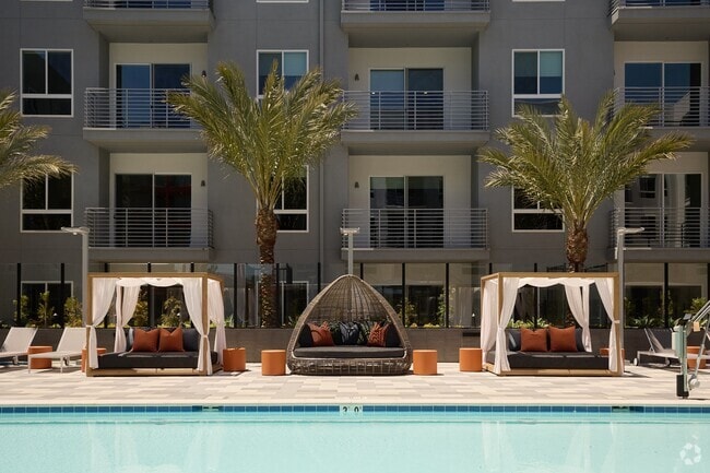 The Pool - The Q De Soto