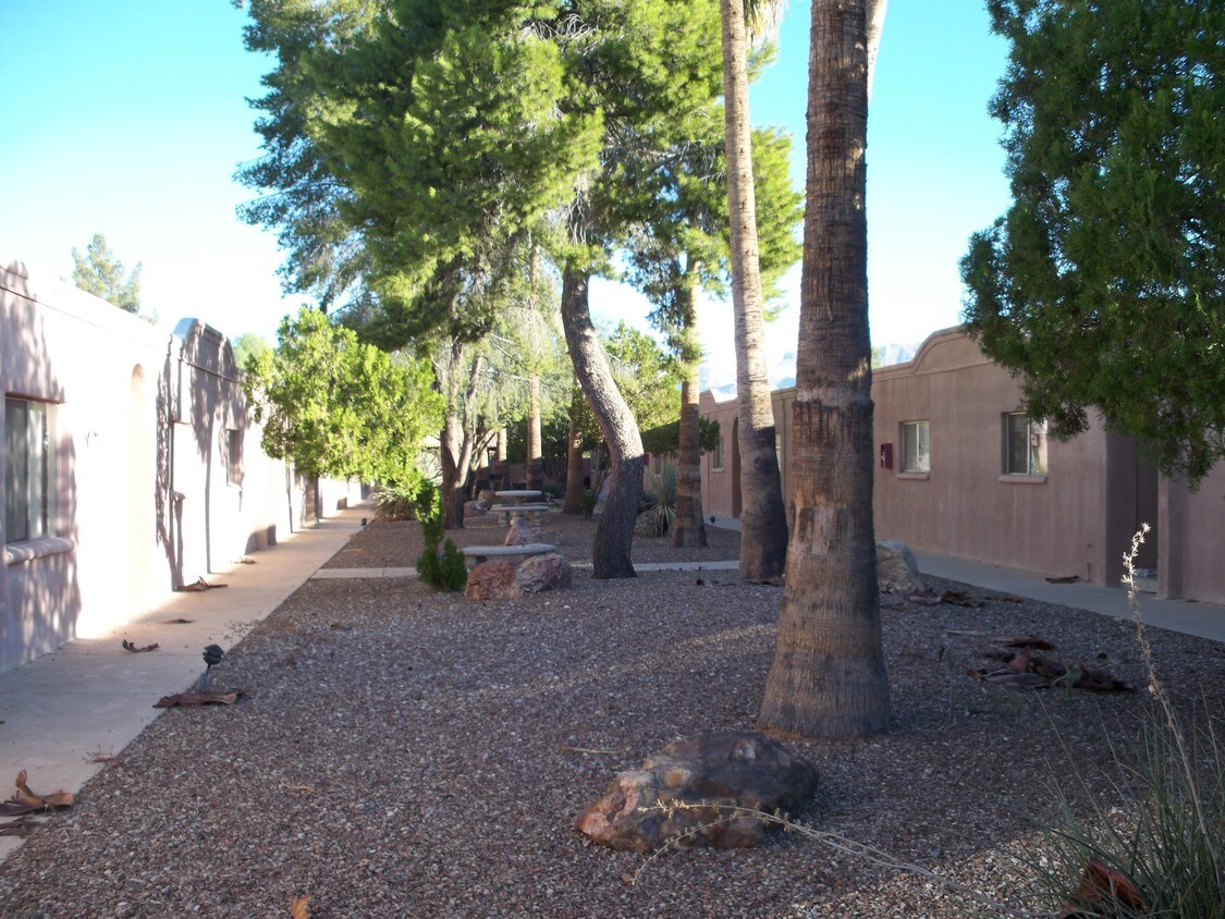Primary Photo - 1435 E Fort Lowell Rd