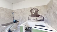 Located at 3144 Old Franklin Road in Antioch, TN, this purpose-built dog grooming studio at Corban Farms is a compact, efficiently designed space outfitted with everything needed for professional pet care. The single-room studio features floor-to-ceiling marble-look ceramic tile wainscoting arranged in a chevron pattern, lending the space a clean, polished aesthetic that is also highly practical and easy to sanitize. A built-in dog wash station with green cabinetry and a ramp provides easy access for pets of all sizes, while a height-adjustable grooming table equipped with a grooming arm and dryer accommodates a range of breeds and grooming tasks. A wall-mounted mini-split HVAC unit ensures year-round climate comfort for both pets and groomers. The light-colored concrete flooring with a floor drain supports effortless cleanup. A glass-paneled entry door allows natural light to fill the room and offers a pleasant view of the surrounding pastoral landscape and fencing, reinforcing the farm setting. Hooks along the walls keep grooming aprons and tools organized, and a shelving unit provides additional storage for supplies. The Corban Farms logo — a playful metal silhouette of a dog — is prominently displayed on the main tiled wall, adding a distinctive branded touch to this well-appointed grooming space.