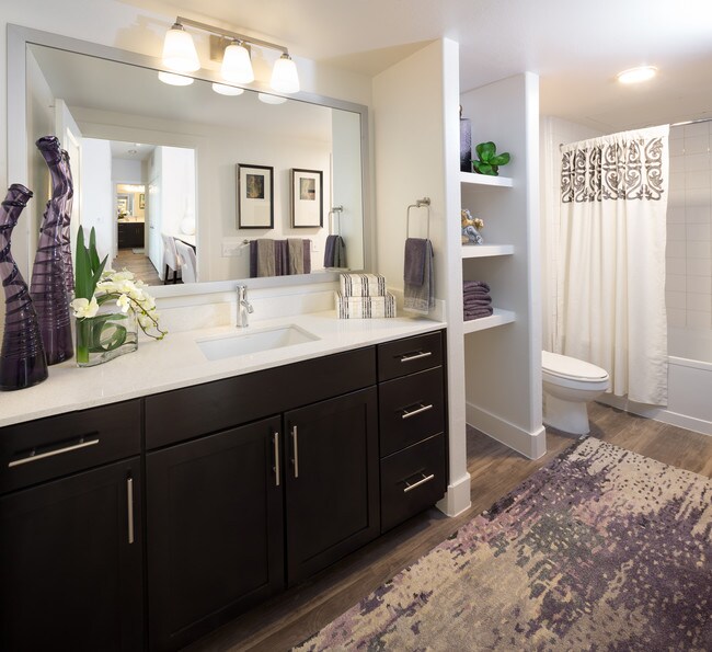 The Grand at Legacy West Rentals Plano, TX