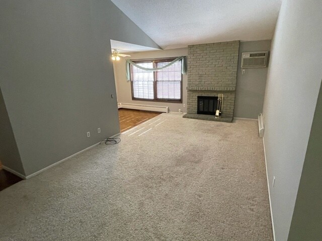 Vaulted ceilings freshly painted - 806 Old Settlers Trl