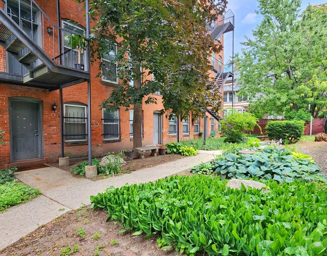 Building Photo - Brownstone charm! 1Bed1bath, first floor b...