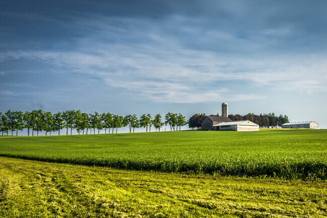 Farms and fields are abundant in Halton Hills.