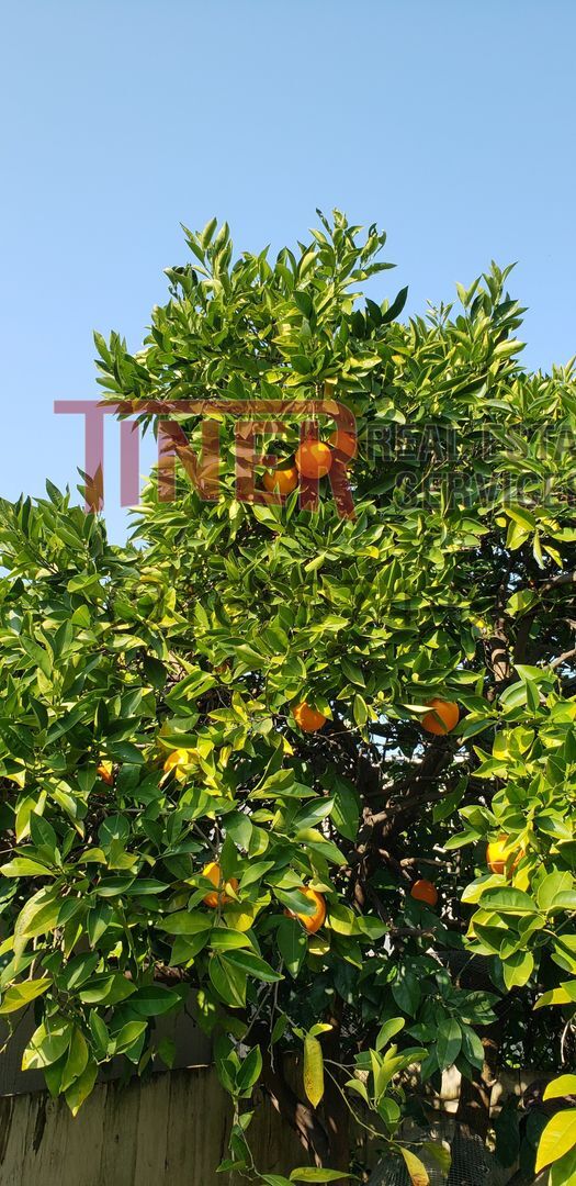 Foto del edificio - Unbelievable horse property on 2.7 acres