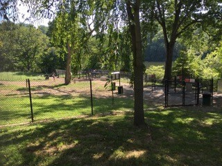 Parque para perros en Lake Roland Park - 1910 Sulgrave Ave