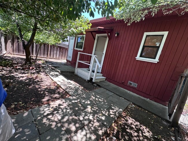 Backyard - 917 Henrietta St