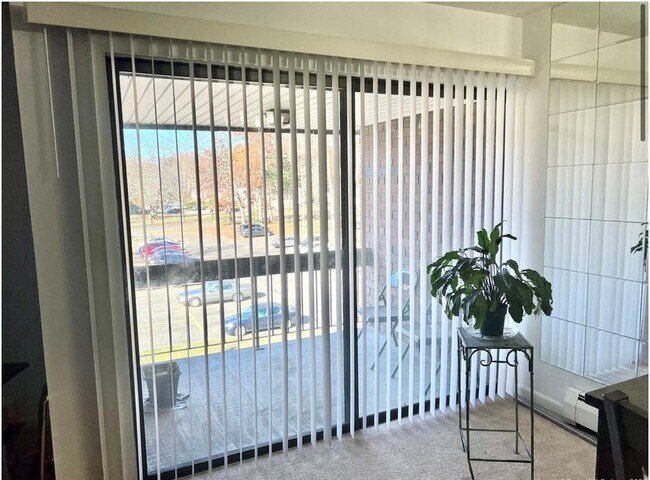patio - 951 High Path Rd