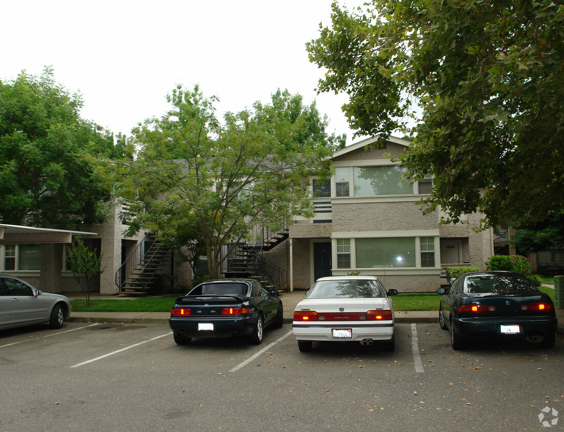 Primary Photo - Forest Avenue Apartments