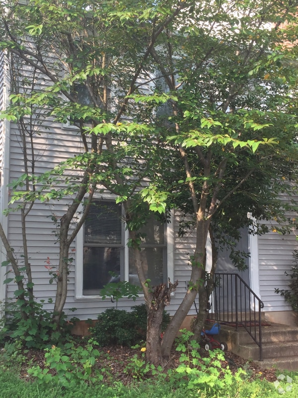 Building Photo - 10398 Rapidan Ln
