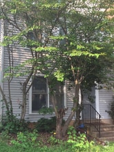 Building Photo - 10398 Rapidan Ln
