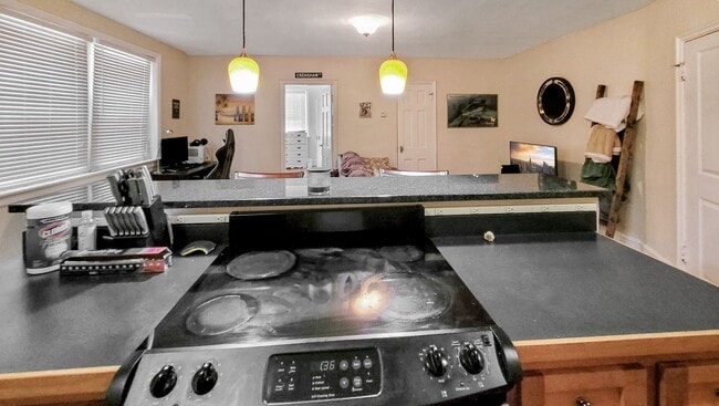 Building Photo - MODERN 1 BED 1 BATH CONDO IN THE FAN!!!!