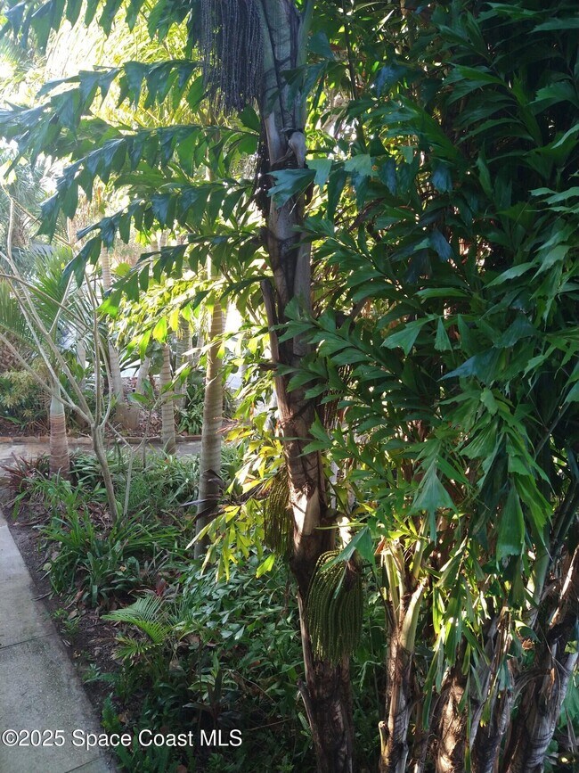 Foto del edificio - 1020 Pine Tree Dr