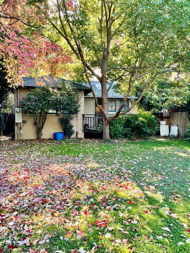 Photo - 2423 D St House