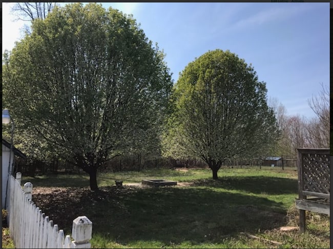 Photo - Leesville House