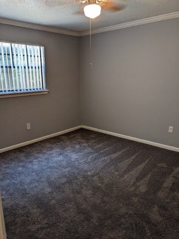 Building Photo - 3215 Baird Ave