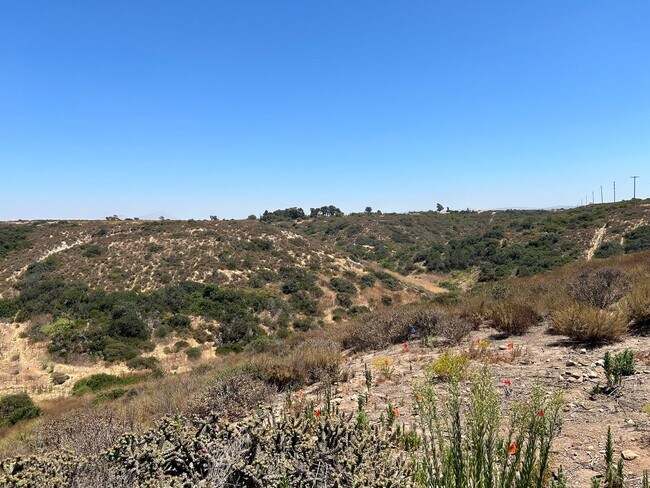 Foto del edificio - Beautiful canyon views! quiet, built in 20...