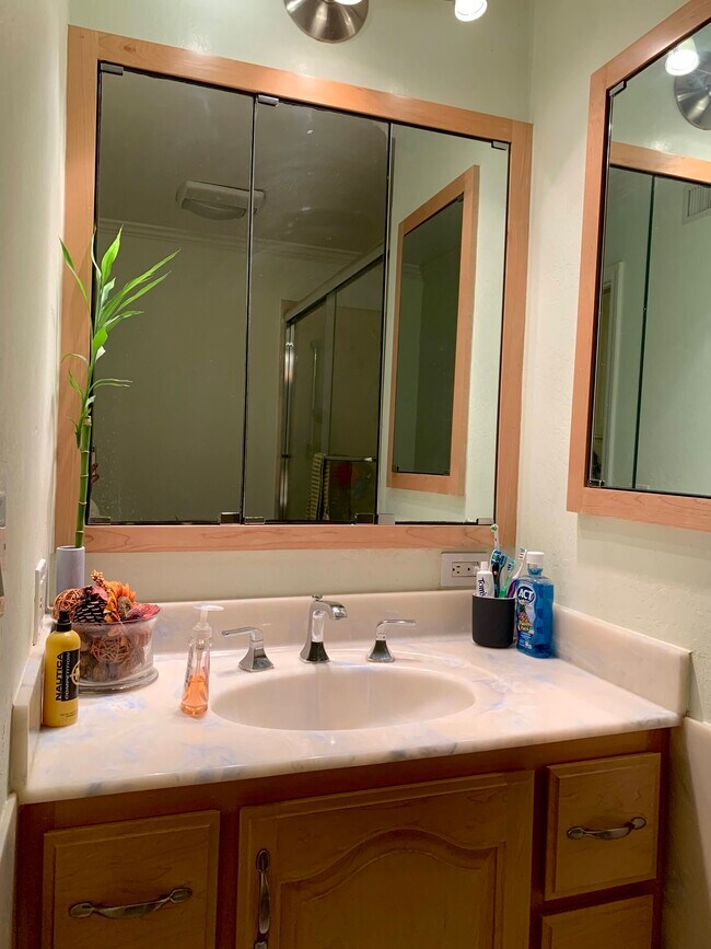 Bathroom 1 - 20272 Northcove Sq