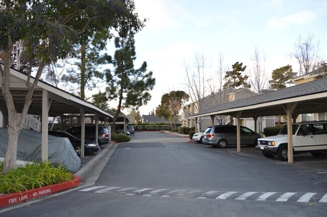 Foto del edificio - 1537 Four Oaks Cir