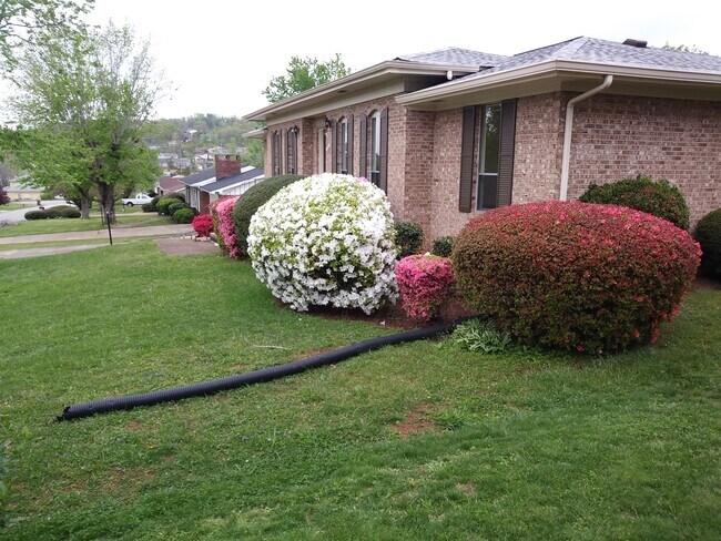 Foto del edificio - 2512 Sharron Dr