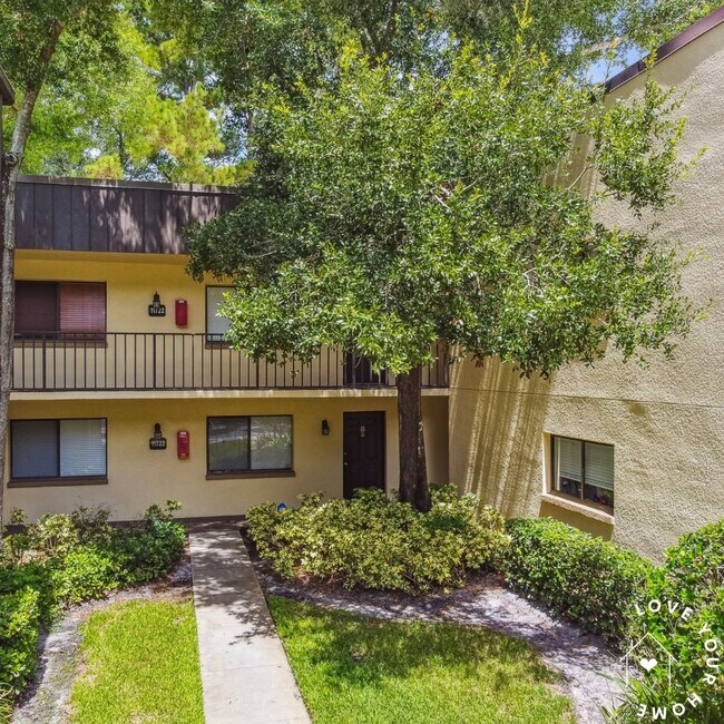 11722 Raintree Lake Ln Unit D, Tampa, FL 33617 Condo for Rent in