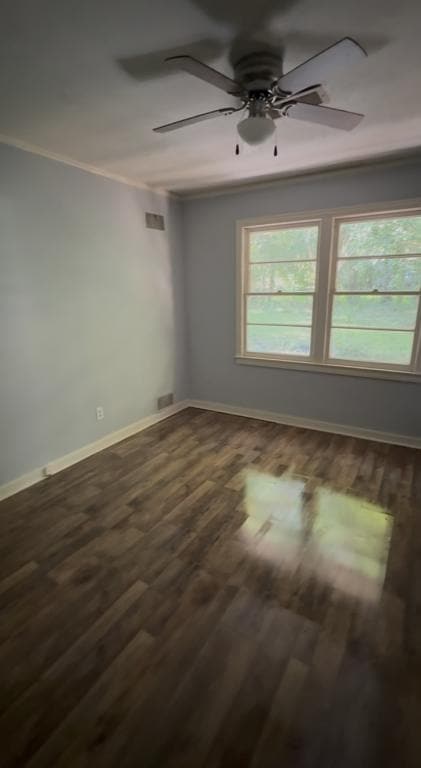 Building Photo - 1515 Wilhurst St