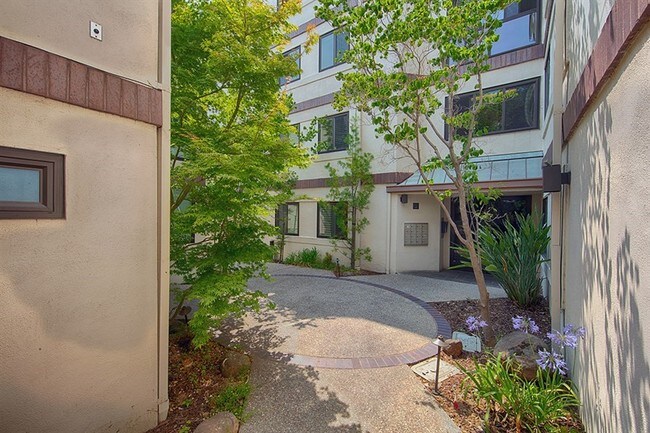 Spacious Downtown Palo Alto Condo for Rent Condo for